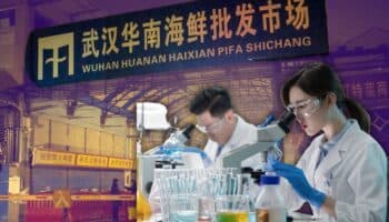 Nuevo análisis corrobora el origen del Covid-19 en mercado de Wuhan