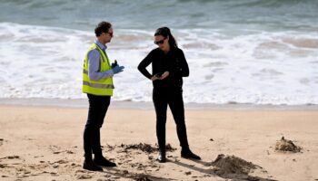 ¿Que son las misteriosas bolas negras que aparecieron en playas de Australia?