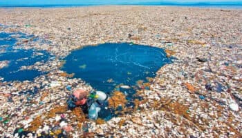 Crece, exponencialmente, la isla de basura en el norte del Océano Pacífico | Video