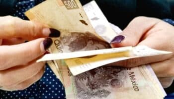 Ingreso familiar mejora en México, pero la movilidad educativa sigue siendo un desafío: CEEY | Video