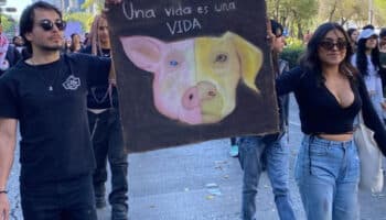 '¿Hasta qué animal llega tu empatía?': Marchan para exigir respeto a todas las especies