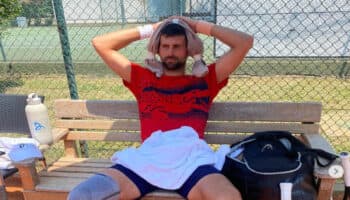 Novak Djokovic será el gran ausente en las Finales ATP de Turín