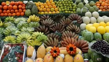 El precio de estos productos incrementarían con los aranceles de Trump