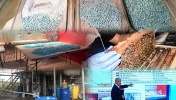 2024: Un año marcado por el opioide sintético del fentanilo