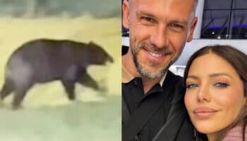 Demichelis y su familia se encuentran con un oso en Monterrey