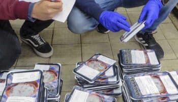 España desarticula red que comercializaba ilegalmente angulas en restaurantes de México