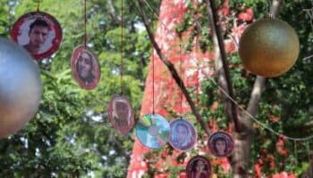 Colocan esferas con rostros de personas desaparecidas en pino de Oaxaca