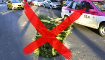 ¡No tires tu árbol de Navidad en la calle! Centro de reciclaje en Edomex
