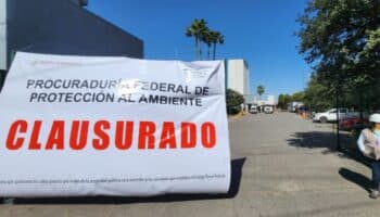 18 lugares cercanos a Zinc Nacional tienen altas concentraciones de metales pesados: periodista | Entérate