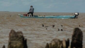 Derrames impunes: imágenes satelitales revelan seis años de derrames de petróleo no reportados por las empresas en el Golfo de México