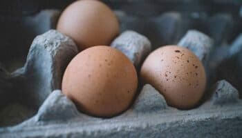 Huevos centenarios #Niñonautas con Kirén Miret