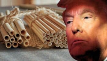 Trump ordena por decreto volver a los popotes de plástico