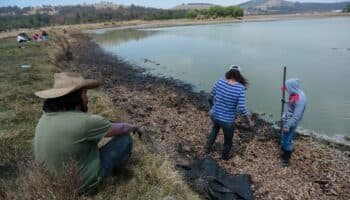 Incrementemos el potencial ecológico con el PLHINO Siglo XXI