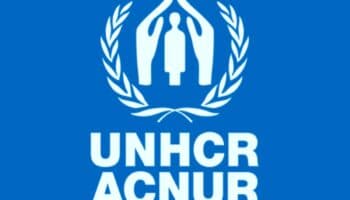 Documento | ACNUR emite declaratoria de emergencia por desplazamientos en Michoacán