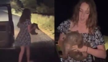 Influencer que indignó a Australia por capturar un wombat bebé pide disculpas