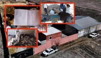 'Si fallabas, morías': el rancho donde jóvenes eran convertidos en victimarios