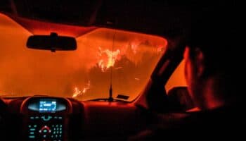 Incendios forestales en Argentina: Promesas rotas agravan la problemática en la Patagonia