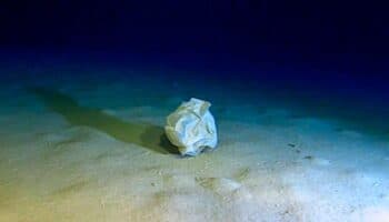 Contaminación humana llega al punto más profundo del mar Mediterráneo
