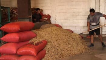 Incertidumbre arancelaria ya provoca "inflación de alimentos" en México: FIDA de la ONU