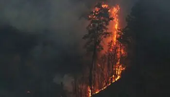 Incendios en Tepoztlán, ecocidio e infierno que no veíamos venir: Guardabosques