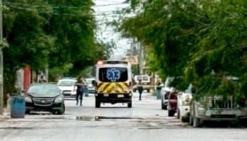 Hombre muere tras ataque de abejas africanizadas en Reynosa