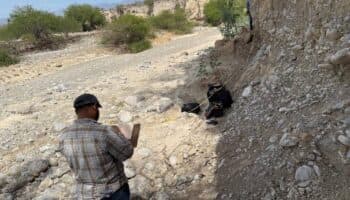 Encuentran restos de posible mastodonte o mamut en Tula, Tamaulipas