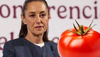 'No hay sustituto', se seguirá exportando tomate a EU: Sheinbaum