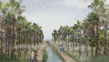 Un paraíso en peligro: el oasis de Todos Santos, entre el turismo y la resistencia local