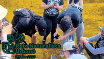 México celebra una exitosa participación ciudadana en el Reto Naturalista Primavera