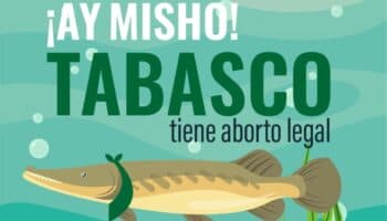 Tabasco despenaliza el aborto