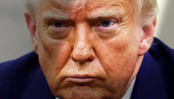 Demandan a gobierno Trump por poner en peligro a ballenas y tortugas del Golfo de México