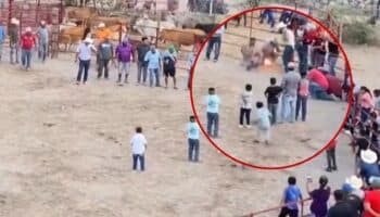 Crueldad animal en Guanajuato: amarran fuegos artificiales a gatos en jaripeo