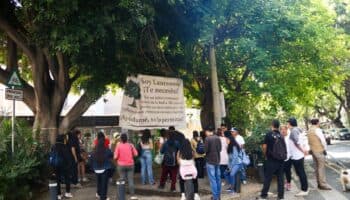 Laureano, el árbol de 100 años declarado patrimonio monumental y que unió a vecinos contra la depredación inmobiliaria