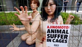 Activistas de PETA luchan contra gigante alimentario en Japón