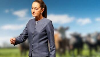 Sheinbaum asegura 'no hay fecha' para reanudar exportaciones de ganado a EU