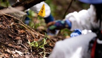 En casi todo el país hay un incremento en el número de desaparecidos: IMDHD