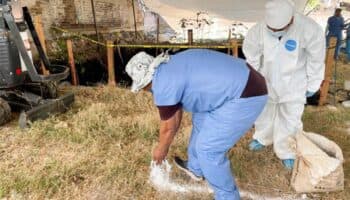 Recuperan 85 restos en fosas de Jojutla; 6 son de bebés