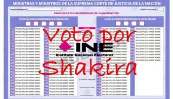 INE considera válidos los votos de protesta como el 'Voto por Shakira': Alcocer