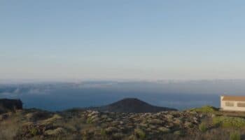 De cantos grabados a nidos artificiales: El ingenioso método que convence a las aves marinas de regresar a sus hogares perdidos | Entérate