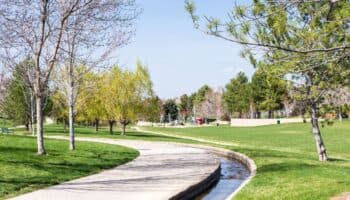 Las luces de la ciudad hacen que las plantas crezcan durante más tiempo
