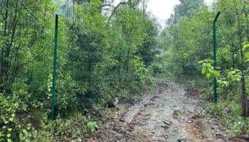 No se está respetando la ley sobre áreas naturales protegidas en Valle de Bravo: Ambientalistas | Entérate