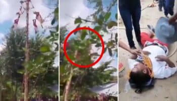 Videos | Tragedia en Veracruz: Voladores de Papantla caen desde 10 metros de altura