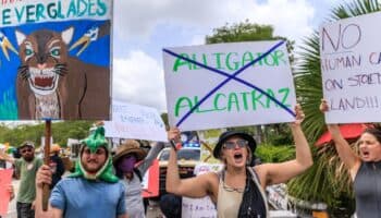Hay 750 migrantes en jaulas en 'Alligator Alcatraz', denuncian legisladores