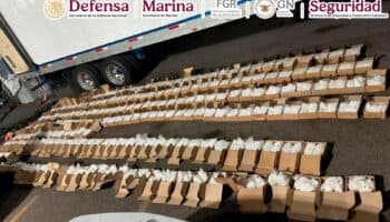 Detienen en Baja California Sur a sujeto que transportaba escondida en un camión una tonelada de metanfetamina