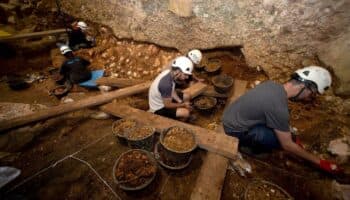 Un niño decapitado hace 850 mil años: nueva prueba de canibalismo en Atapuerca