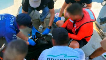 Rescatan y liberan a lobo marino enmallado en Cabo San Lucas
