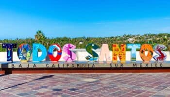 Todos Santos, Roma y Condesa | Artículo por Alberto Islas