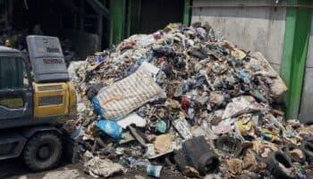 Gobierno de Sheinbaum beneficia con iniciativas a la industria plástica: ambientalistas