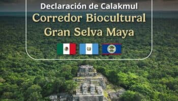 Corredor Biocultural Gran Selva Maya será la segunda reserva más importante de América: Bárcena | Video