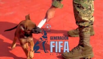 Marina presenta la ‘Generación FIFA’, cachorros entrenados para la seguridad en la Copa Mundial 2026